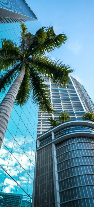 untitled design (25)