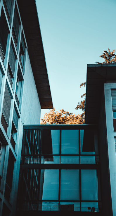 untitled design (26)